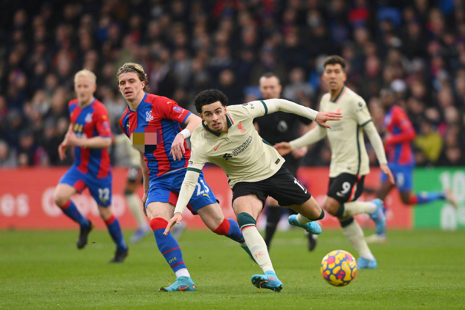 仅让意大利 仅让意大利